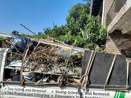 Best Hoarding Cleanup  in Brooksville, MS